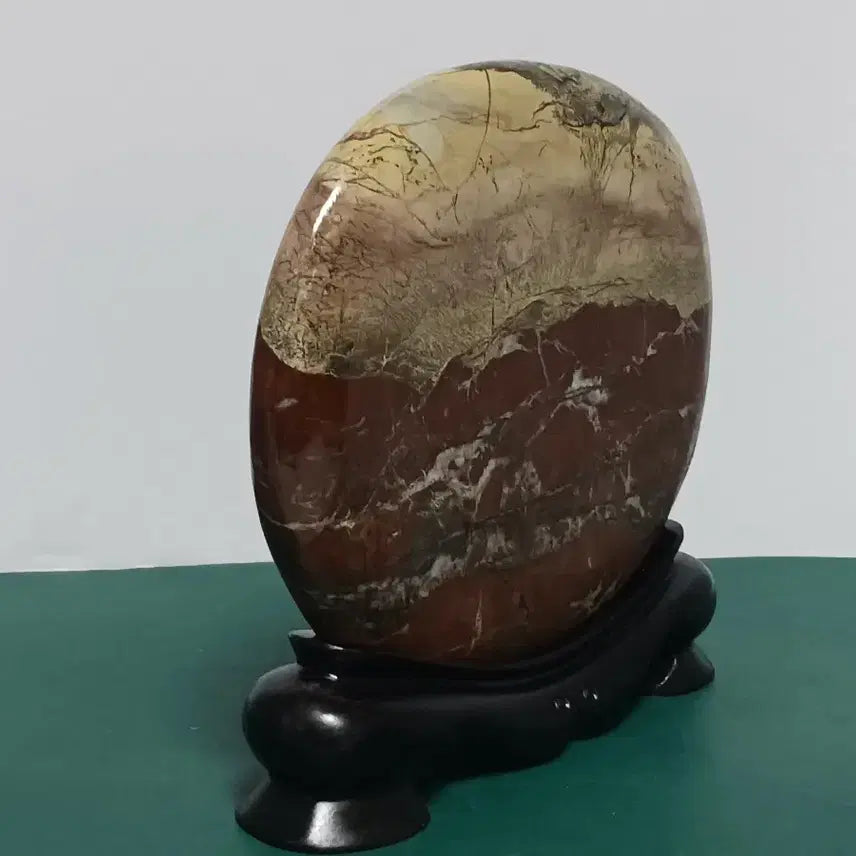 [BUNJANG] Petrified Wood Stone / 수석(초화석)