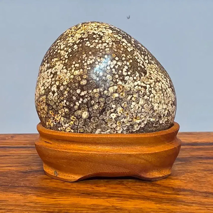 [BUNJANG] Cheongsong Flower Stone Suiseki with Stand / 26100508 한송이 꽃이 활짝 잘핀 청송 꽃돌 수석 팝니다