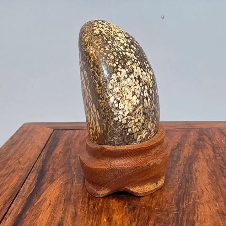 [BUNJANG] Cheongsong Flower Stone Suiseki with Stand / 26100508 한송이 꽃이 활짝 잘핀 청송 꽃돌 수석 팝니다