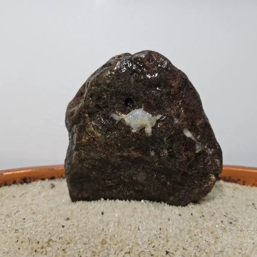 [BUNJANG] Turtle Pattern Stone Natural Stone / 수석 거북이 문양석 매력적인 자연석이에요 크기 11센치정도