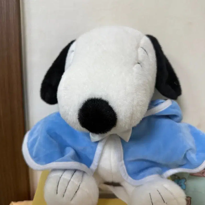 [BUNJANG] Snoopy Medium Cloak Plush Doll / 스누피 망토 중형 인형