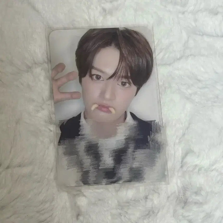 [BUNJANG] Bayon Teru Signed Photocard / 베이온 테루 싸인포카 팔아요!