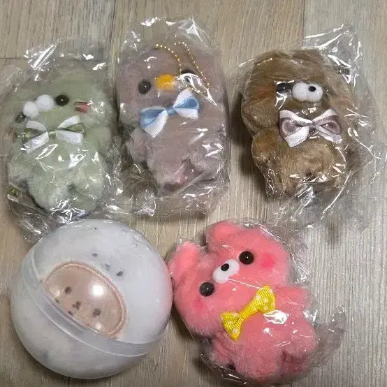 [BUNJANG] Scutto Tachi-san 5 Cafe Gacha Set / 스쿳토 타치산 5 - 카페 가챠