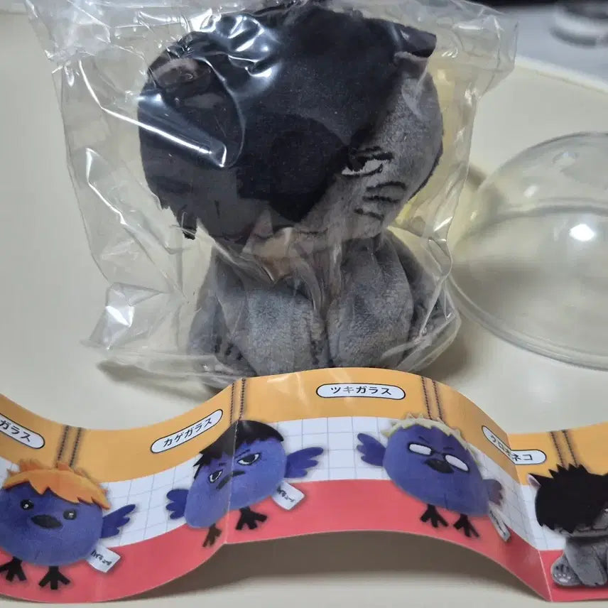 [BUNJANG] Haikyuu!! Tetsuro Kuroo Bundle Set / 하이큐 쿠로오 관련 굿즈 일괄판매