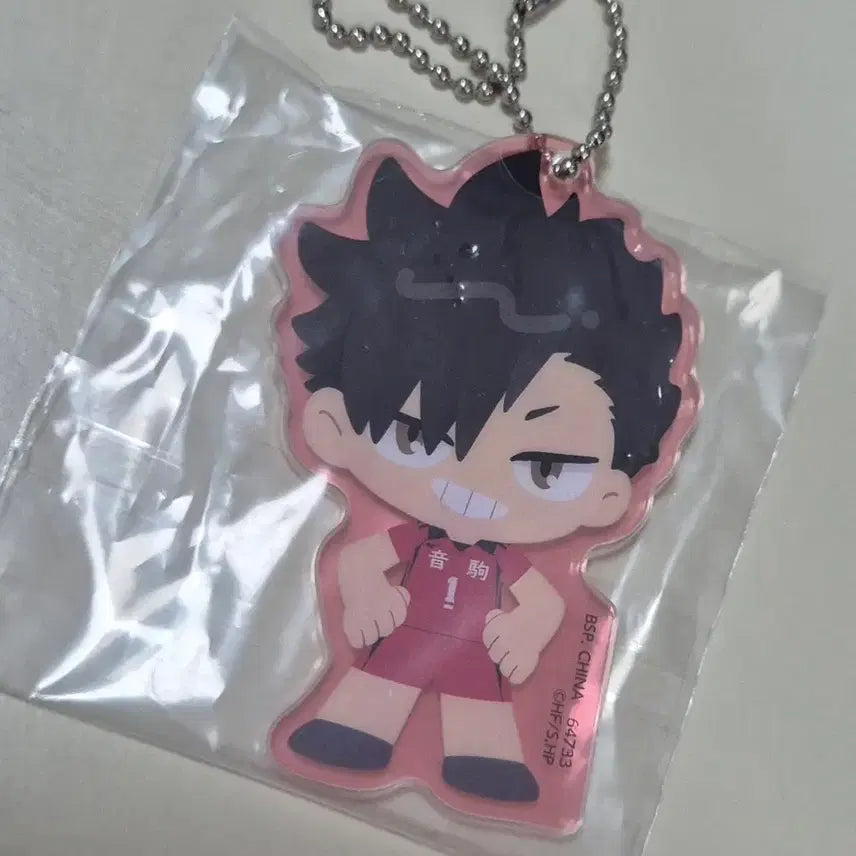 [BUNJANG] Haikyuu!! Tetsuro Kuroo Bundle Set / 하이큐 쿠로오 관련 굿즈 일괄판매