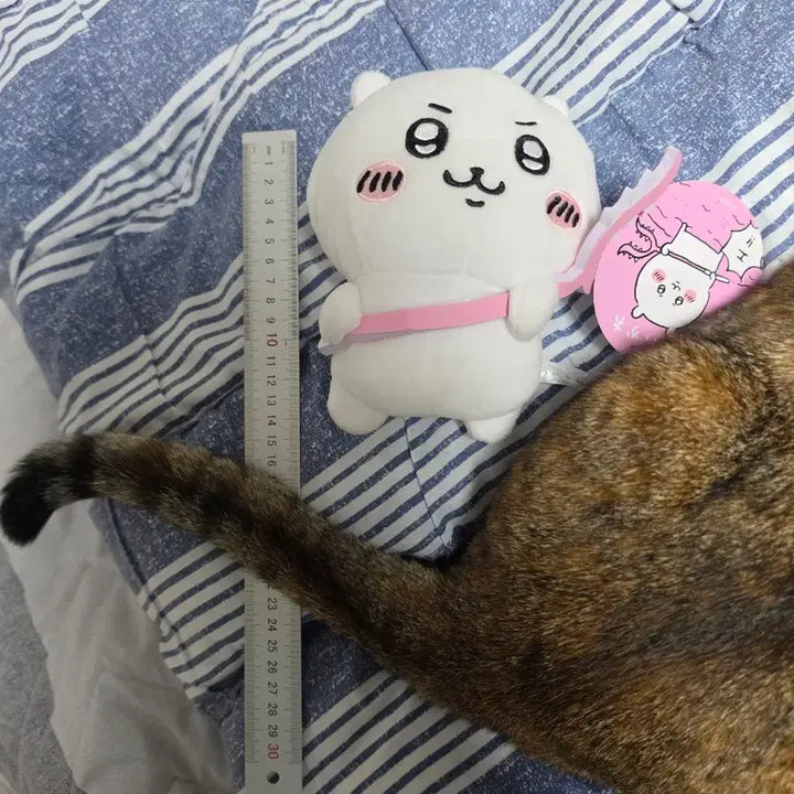 [BUNJANG] Chikawa Toru Doll / 치이카와 토벌인형