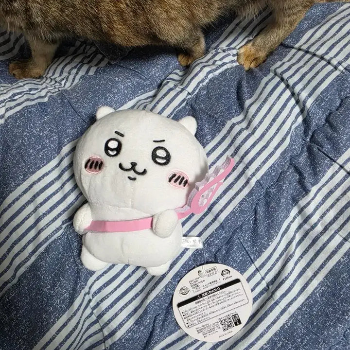 [BUNJANG] Chikawa Toru Doll / 치이카와 토벌인형