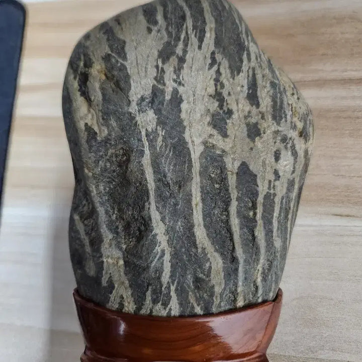 [BUNJANG] Rare Scholar Stone with Aquatic Plant Pattern / 수석 수초문양 수석입니다