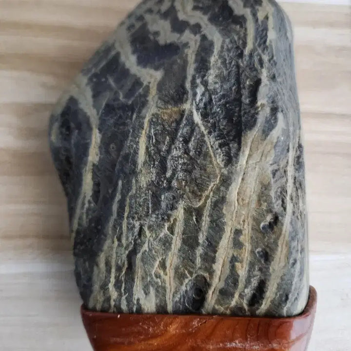 [BUNJANG] Rare Scholar Stone with Aquatic Plant Pattern / 수석 수초문양 수석입니다