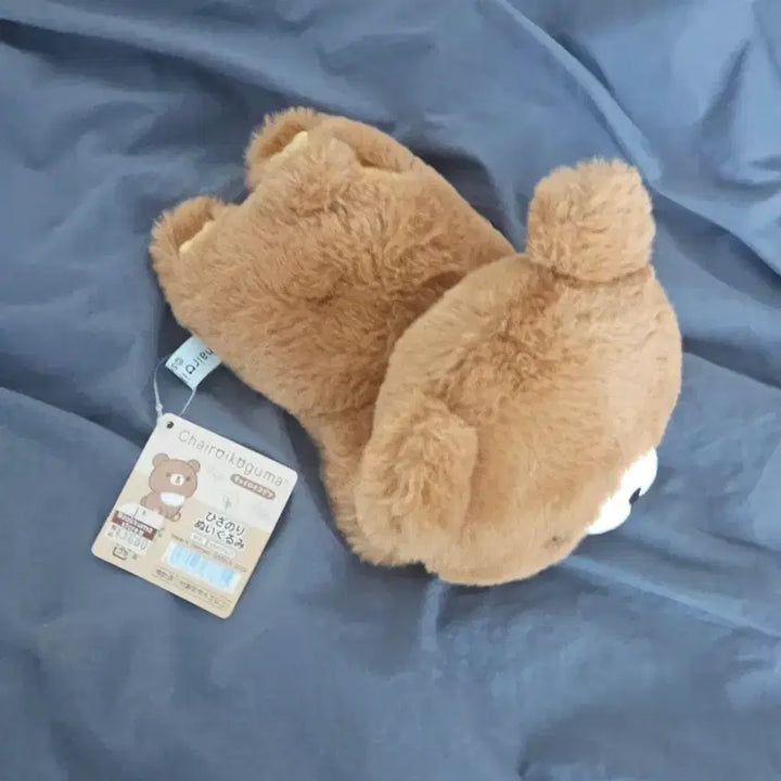 [BUNJANG] Chaiiroikoguma Plush / 챠이로이코구마 인형