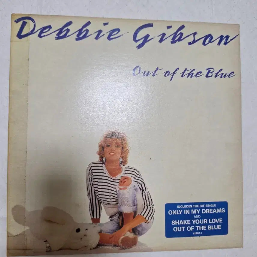[BUNJANG] Debbie Gibson LP / 데비깁슨 LP