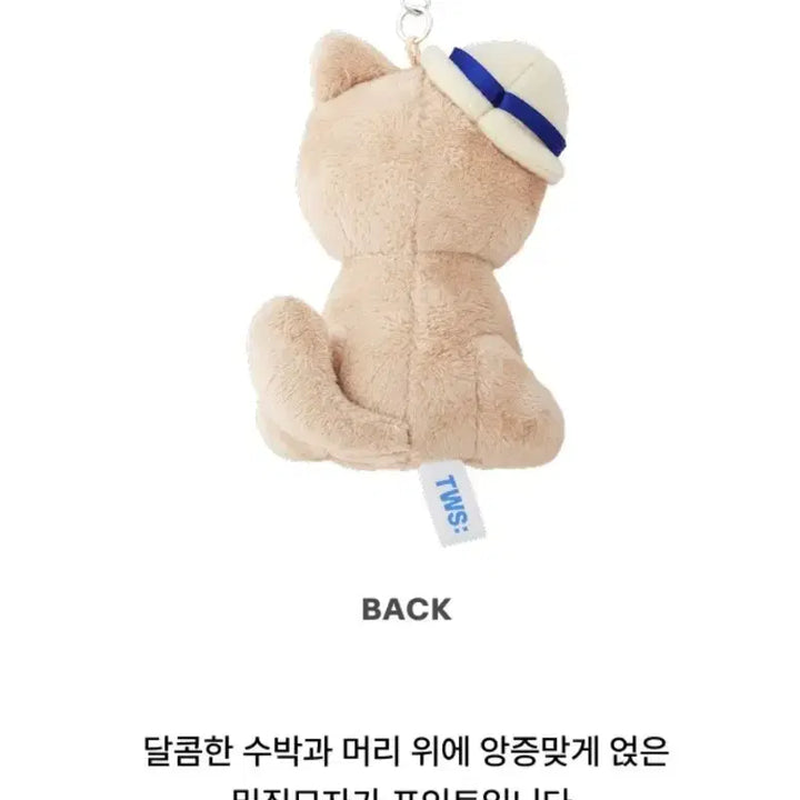 [BUNJANG] TWS Taeyangyi Plush Keychain / 투어스 태닝 투냥이