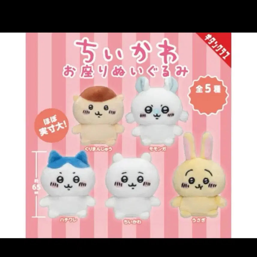 [BUNJANG] Chiikawa Sitting Plush Full Set (Ver 1.0) / 먼작귀 앉은누이 앉은인형 앉아 가챠 1탄 구버전 풀세트 쿠리만쥬 우사기 치이카와 하치와레 모몽가