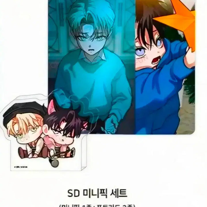 [BUNJANG] Flashlight SD Mini Photocard Set / 그래도, 좋아해? 바인더 그조해