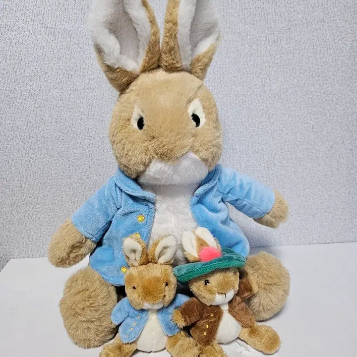 [BUNJANG] Peter Rabbit Official Plush Toy Set / 피터래빗 정품 인형 세트