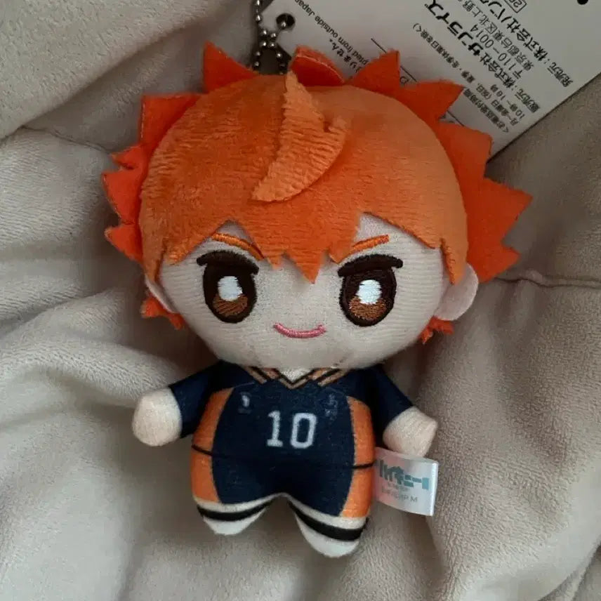 [BUNJANG] Hinata Shoyo Plush / 히나타 쇼요 누이