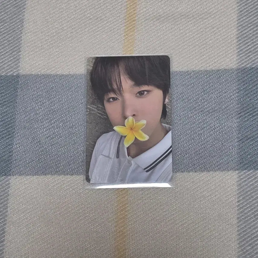 [BUNJANG] NCT WISH Riku Color Photocard / 엔시티 위시 컬러 리쿠 서프 포카