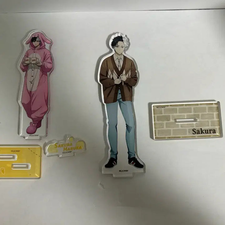 [BUNJANG] Winbre Sakura Acrylic Stand Bundle Set / (일괄 5.0) 윈브레 사쿠라 아크릴 스탠드 일괄