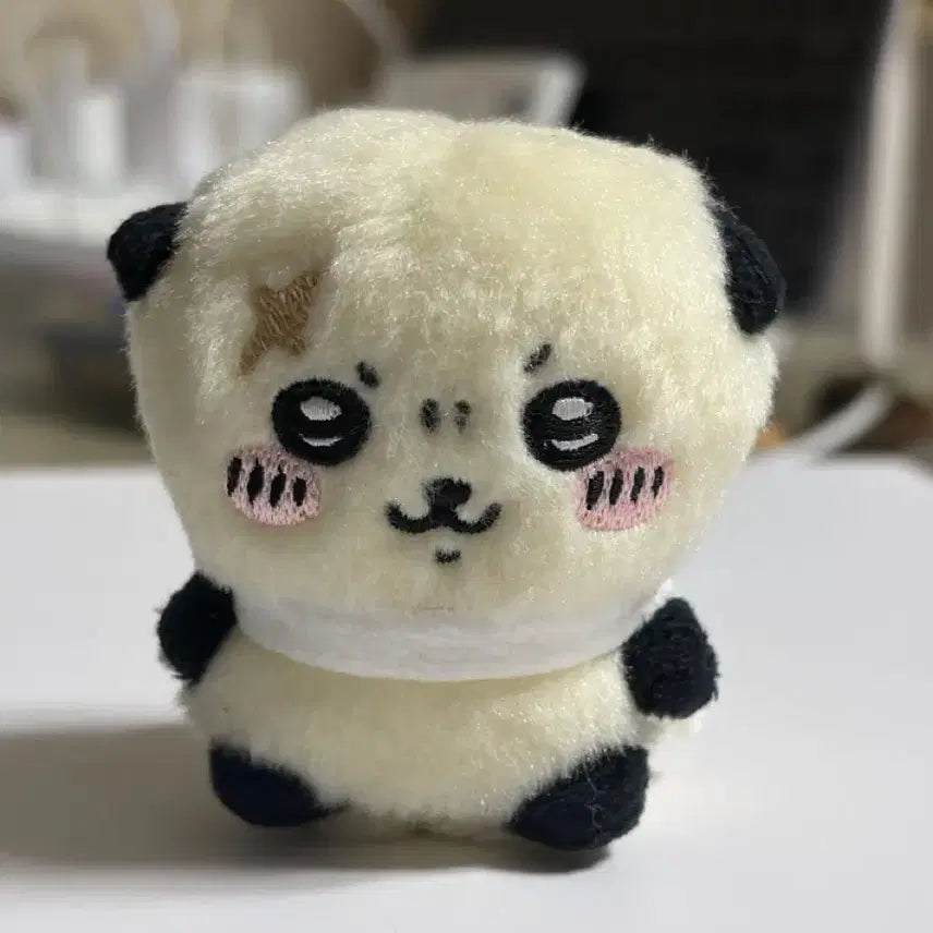 [BUNJANG] Chiikawa Sitting Racco Old Version Plush / 앉은 누이 랏코 구버전 치이카와