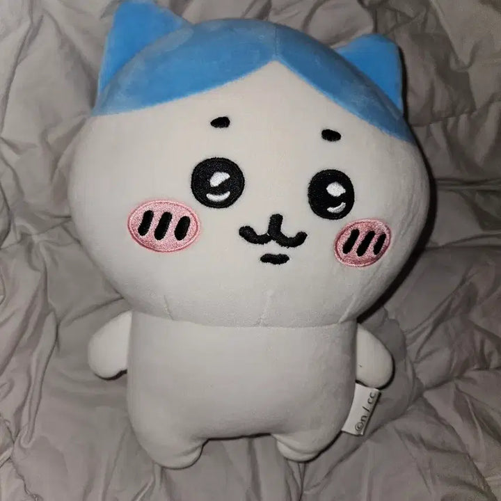 [BUNJANG] Chiikawa Hachiwara Plush / 하치와레 인형