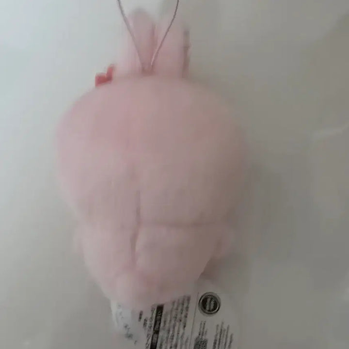 [BUNJANG] Chiikawa "Sakura Rabbit" Plush / 치이카와 벚꽃 사쿠라 우사기