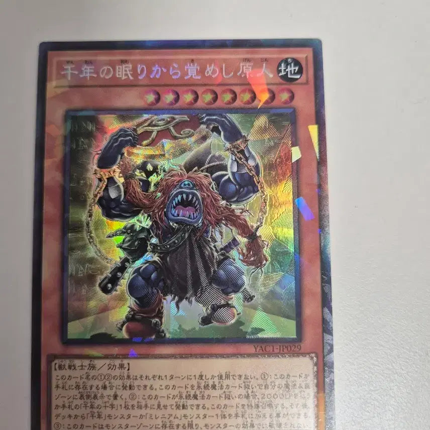 [BUNJANG] Millennium Primal Card Collector&