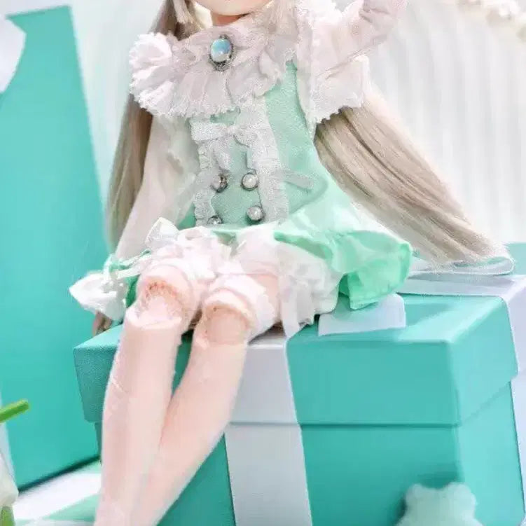 [BUNJANG] Arcaich Records Special Edition 6 Blind Doll Ball-Jointed Doll / 아카식 레코드 특6분 블라인드돌 bjd 구체관절인형