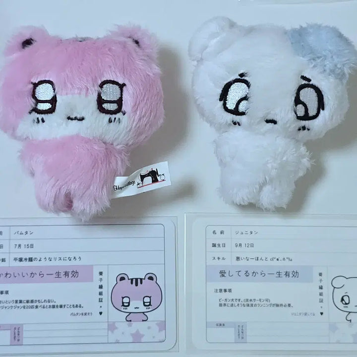 [BUNJANG] SEVENTEEN Jun Bundle Set / 플부땅 쭈니땅 바무땅 일괄