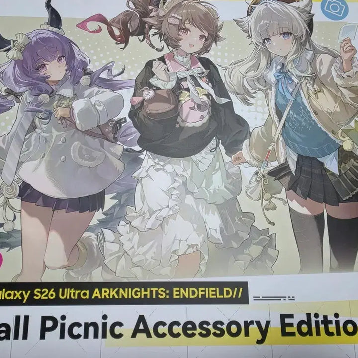 [BUNJANG] Arknights Endfield Autumn Picnic Accessory Edition / 명일방주 엔드필드 가을 피크닉 액세서리 에디션
