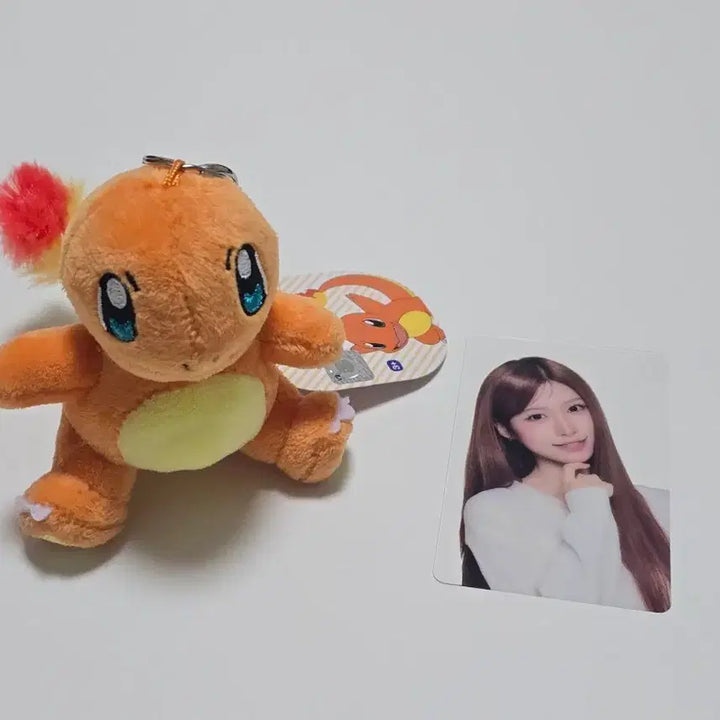 [BUNJANG] Charizard Plush Bundle Set / (일괄) 파이리 인형 제나 포카