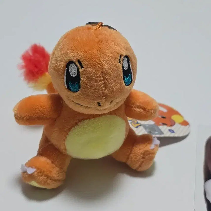 [BUNJANG] Charizard Plush Bundle Set / (일괄) 파이리 인형 제나 포카