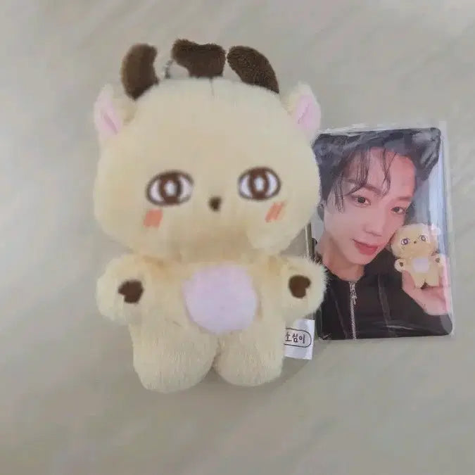 [BUNJANG] Soshimi [Character Name] Keychain Photocard Set / 소심이키링 포카 판매합니다