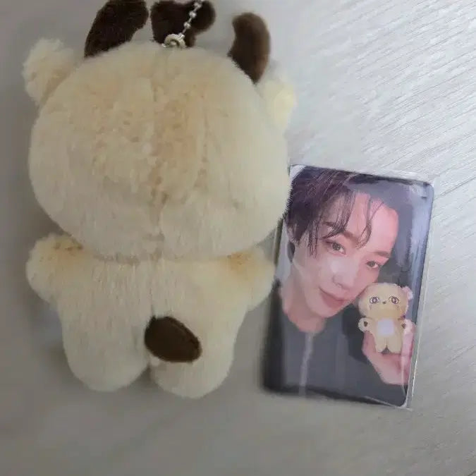 [BUNJANG] Soshimi [Character Name] Keychain Photocard Set / 소심이키링 포카 판매합니다