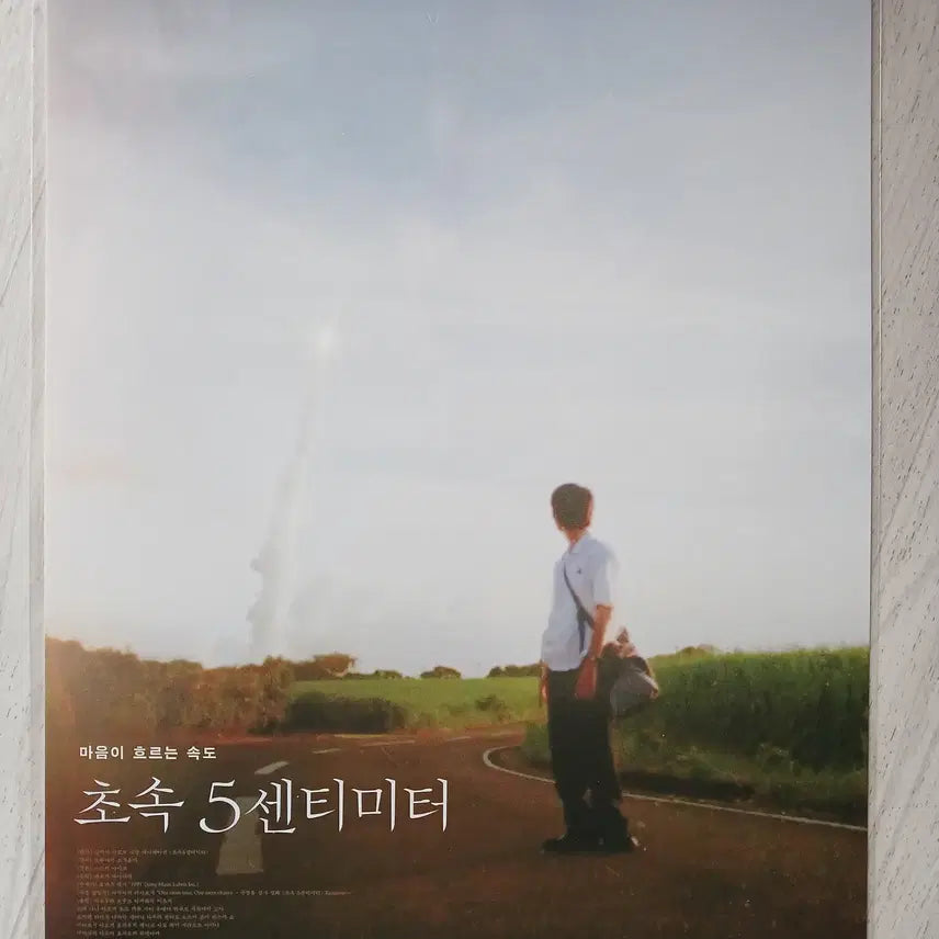 [BUNJANG] A3 Poster Collection - Various Titles / [A3 포스터 모음3] 위리브인타임 초속5센티미터 광장 시라트 튜즈데이 마이선샤인 여행과나날 더러닝맨 윗집사람들 베이비걸 등