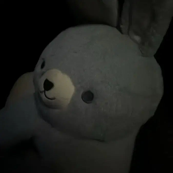 [BUNJANG] Park Ji Hoon Gray Rabbit Plush Toy / 박지훈 회끼 토끼 인형 회색