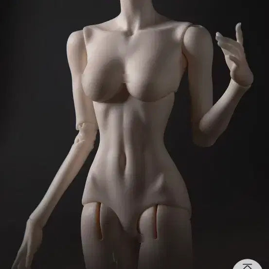 [BUNJANG] Dollzone 43cm Girl Body C-Cup / (급전) 돌존 Doll zone BJD 여아 43cm 바디 판매