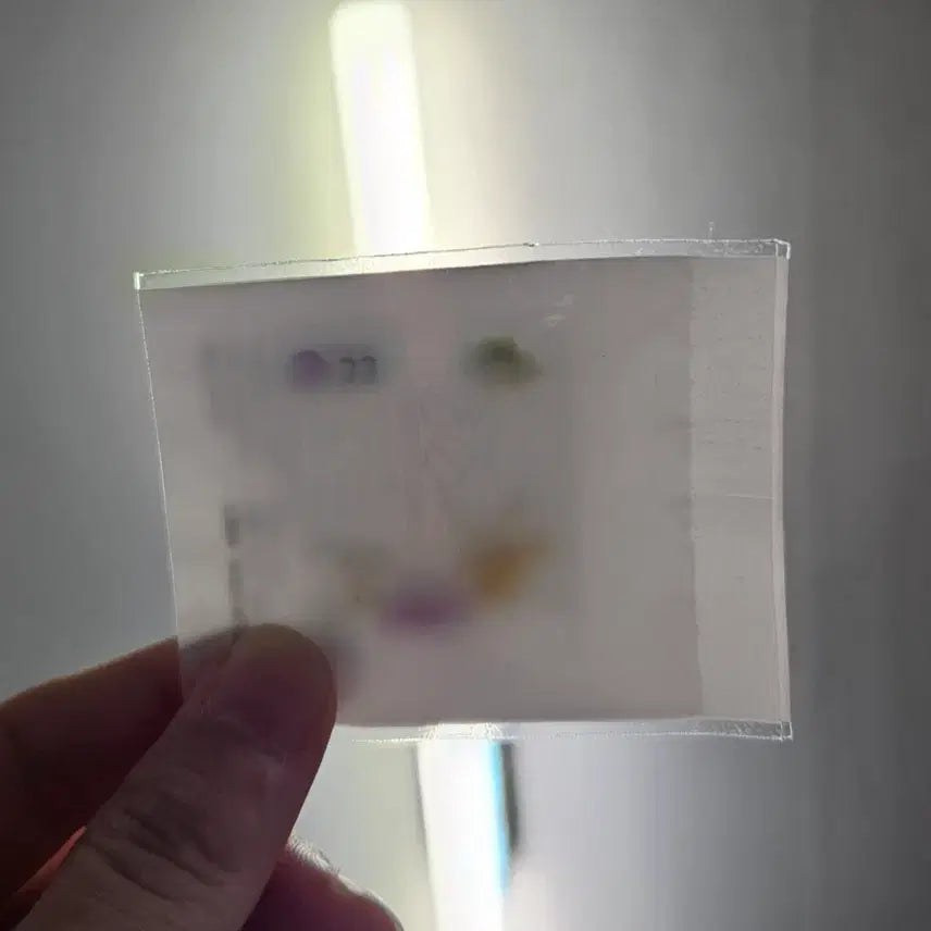 [BUNJANG] Pocopia Bongbong Sticker 
