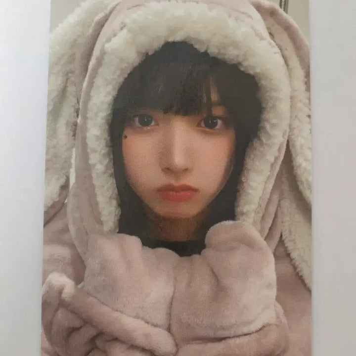 [BUNJANG] NMIXX Jius K-Pop Photocard Rabbit Blanket Version / 엔믹스 에버라인 지우 김지우 포카 포토카드 토끼담요