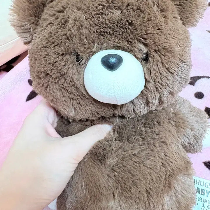 [BUNJANG] Brown Teddy Bear Plush Doll / 곰돌이 인형