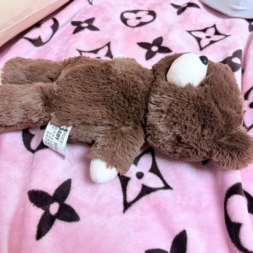 [BUNJANG] Brown Teddy Bear Plush Doll / 곰돌이 인형