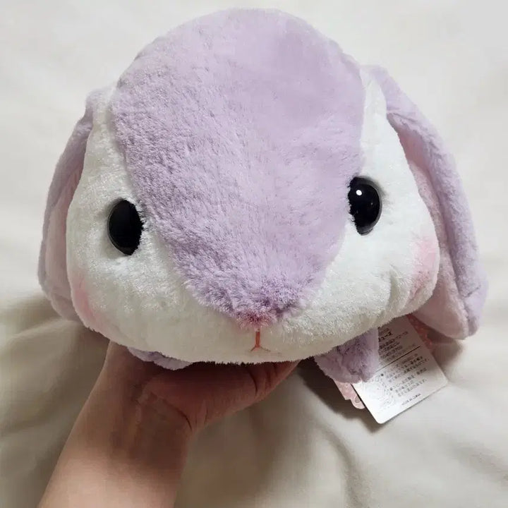 [BUNJANG] AMUSE Poteto Usa Ropi Sumirechan Doll / AMUSE 어뮤즈 포테우사 롯삐 스미레짱 인형