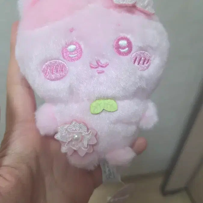 [BUNJANG] Munjakgwi Cherry Blossom Makko / 먼작귀 벚꽂마코