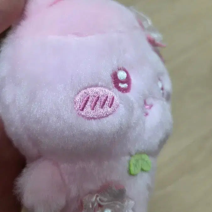 [BUNJANG] Munjakgwi Cherry Blossom Makko / 먼작귀 벚꽂마코