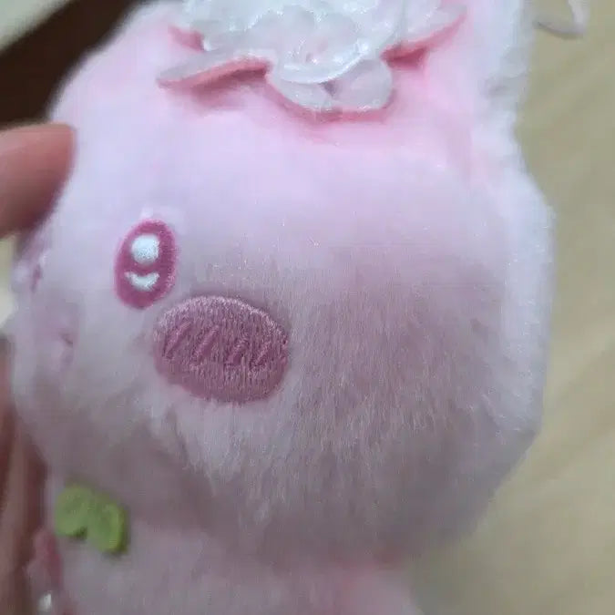 [BUNJANG] Munjakgwi Cherry Blossom Makko / 먼작귀 벚꽂마코