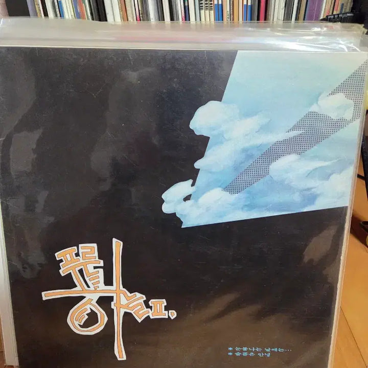[BUNJANG] Pureunhaneul 2nd Album LP / 푸른하늘 2집 LP, 중고