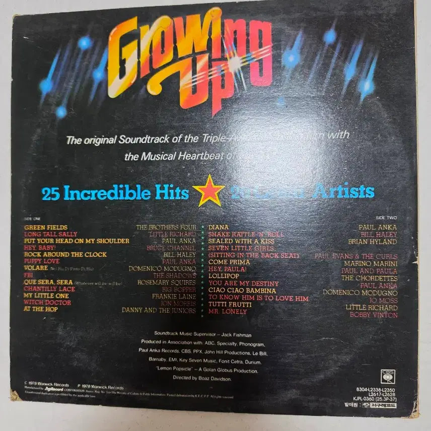 [BUNJANG] Growing Up OST LP Vinyl Record / Growing Up ost LP 예전 영화 음악