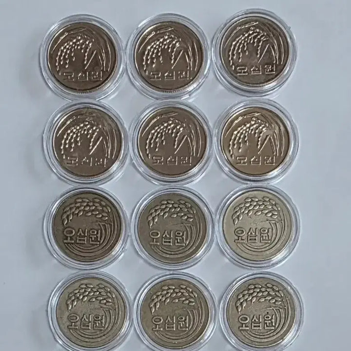 [BUNJANG] 1972 &amp; 2014 50 Won Coin Bundle Set / 특년도 1972년 50원 주화 2014년 50원 주화 사용제 일괄