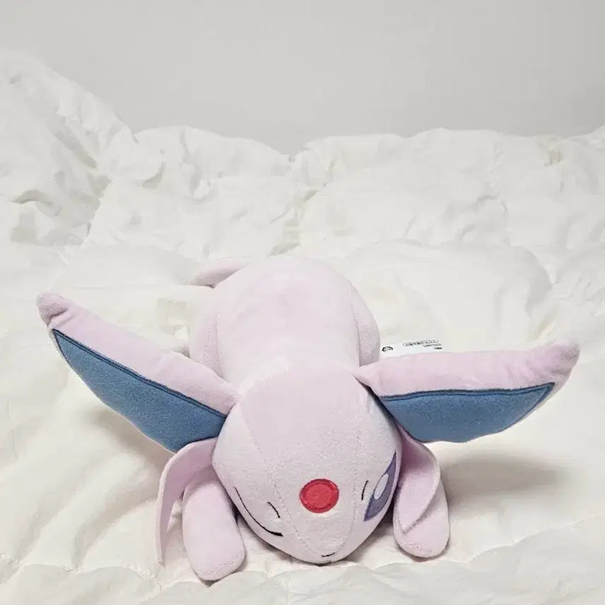 [BUNJANG] Pokemon Eevee Sleepy Friends Plush Doll / 포켓몬 에브이 보송보송 이브이 프렌즈 낮잠 봉제인형 고풍상점 팝업