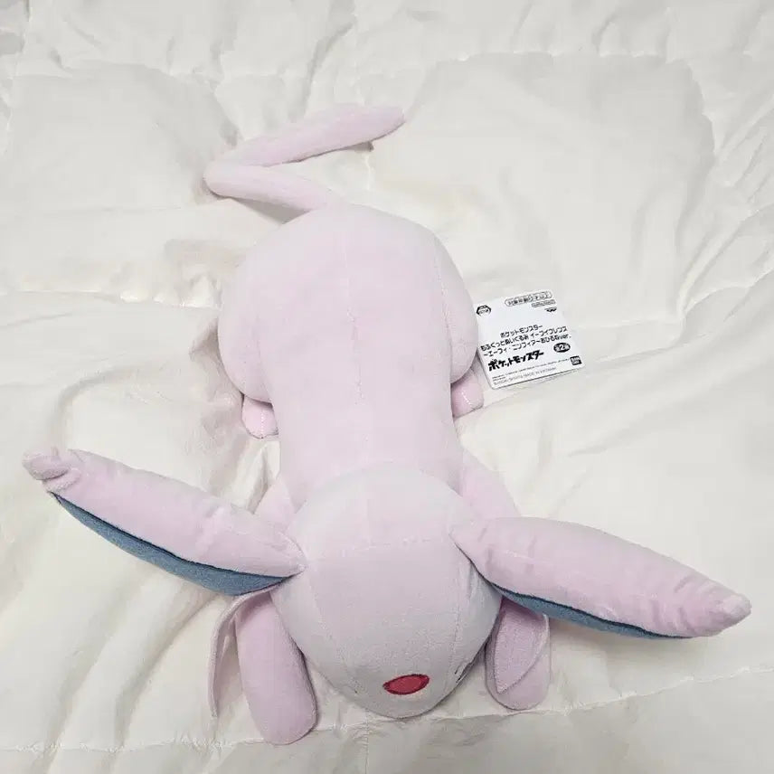 [BUNJANG] Pokemon Eevee Sleepy Friends Plush Doll / 포켓몬 에브이 보송보송 이브이 프렌즈 낮잠 봉제인형 고풍상점 팝업
