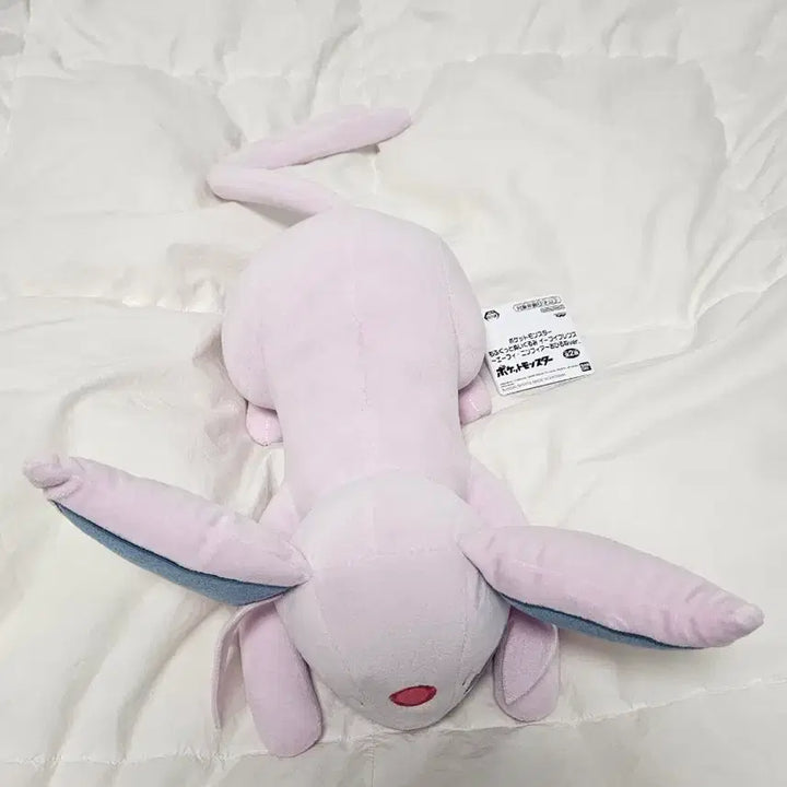 [BUNJANG] Pokemon Eevee Sleepy Friends Plush Doll / 포켓몬 에브이 보송보송 이브이 프렌즈 낮잠 봉제인형 고풍상점 팝업